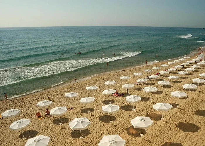 Marina Hotel, Sunny Day Hotel Warna